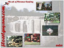 Floartguyana
